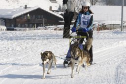 Lenk 2012 SM